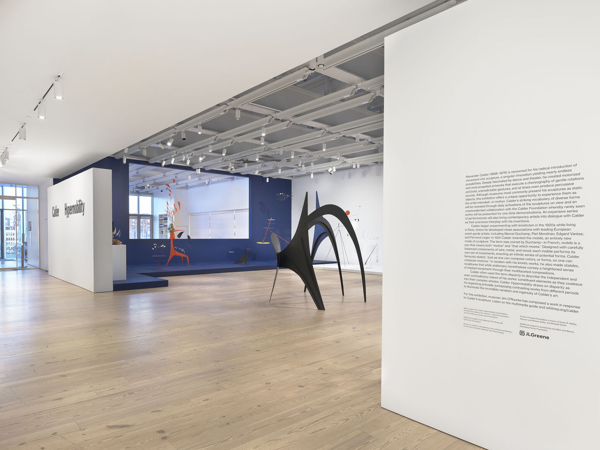 Gallery view of Calder: Hypermobility 
